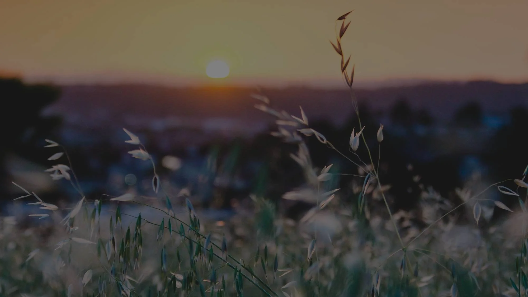 Grapevine Christian Counseling